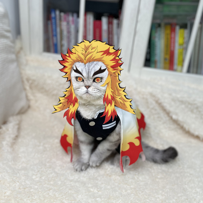 Cosplay Flame Prop - Disfraz de mascota Demon Slayer, ropa